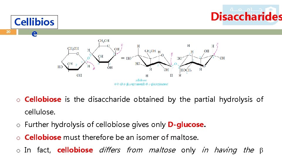 20 Cellibios e Disaccharides o Cellobiose is the disaccharide obtained by the partial hydrolysis