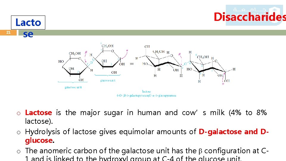 21 Lacto se Disaccharides o Lactose is the major sugar in human and cow’s