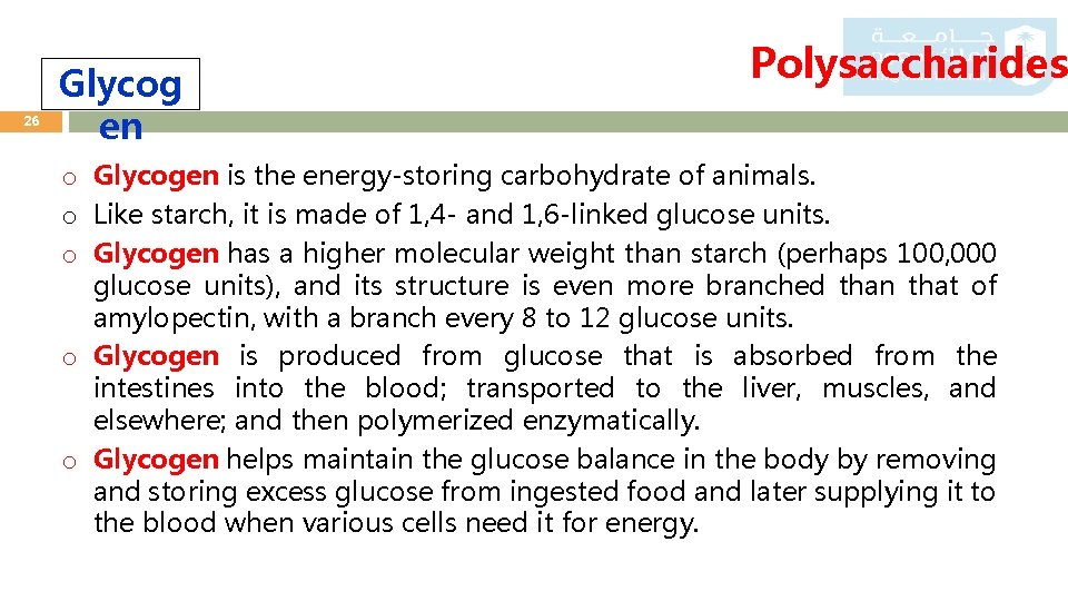 26 Glycog en Polysaccharides o Glycogen is the energy-storing carbohydrate of animals. o Like