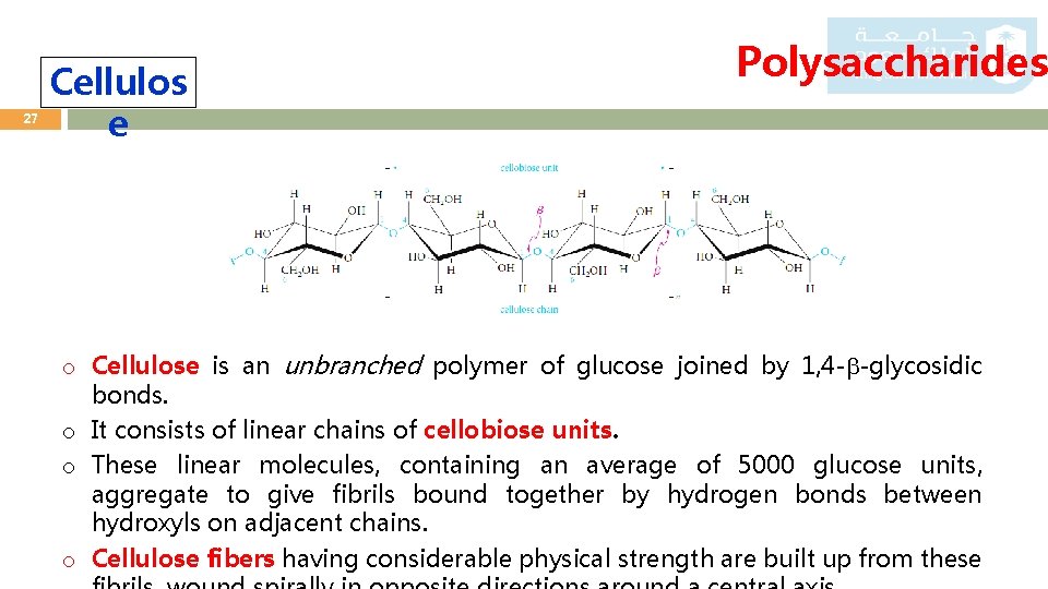 27 Cellulos e Polysaccharides o Cellulose is an unbranched polymer of glucose joined by