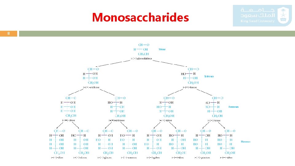 Monosaccharides 8 