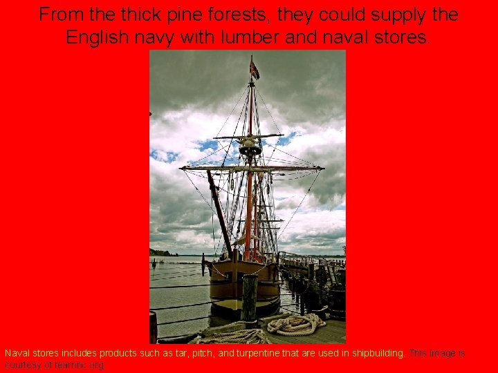 From the thick pine forests, they could supply the English navy with lumber and