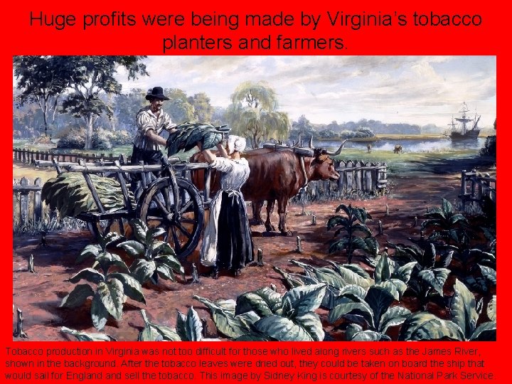 Huge profits were being made by Virginia’s tobacco planters and farmers. Tobacco production in