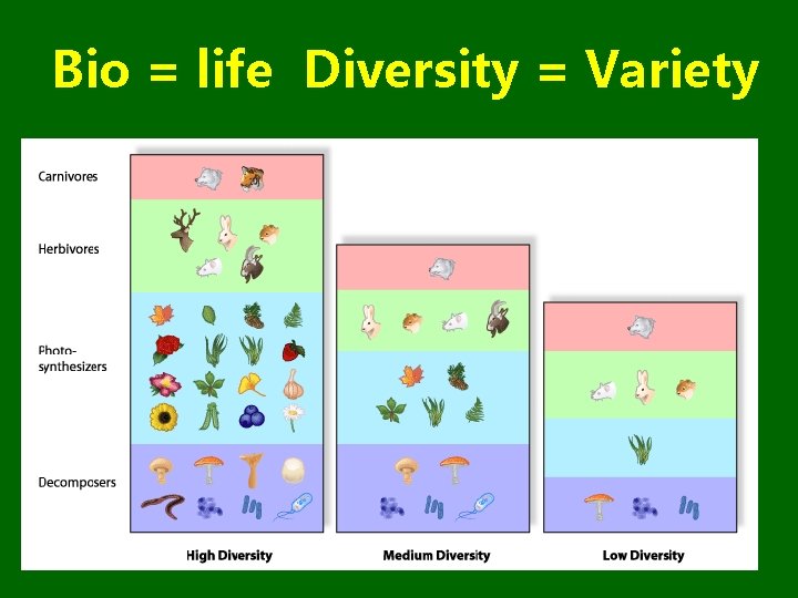 Bio = life Diversity = Variety 