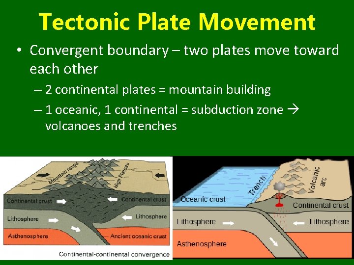 Tectonic Plate Movement • Convergent boundary – two plates move toward each other –