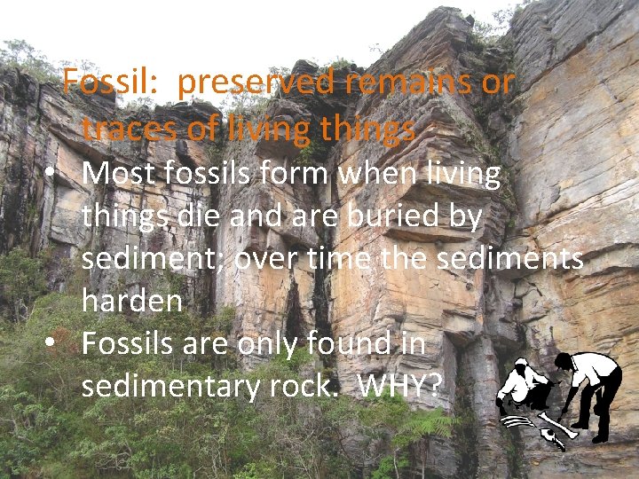 Fossil: preserved remains or traces of living things • Most fossils form when living