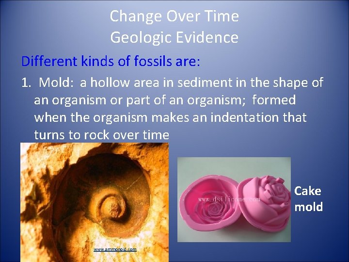 Change Over Time Geologic Evidence Different kinds of fossils are: 1. Mold: a hollow