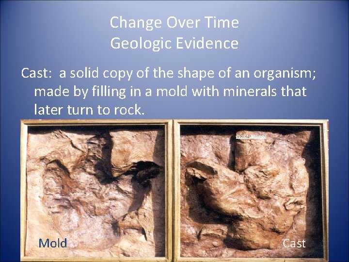 Change Over Time Geologic Evidence Cast: a solid copy of the shape of an