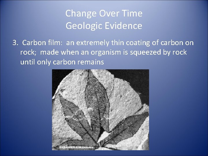 Change Over Time Geologic Evidence 3. Carbon film: an extremely thin coating of carbon