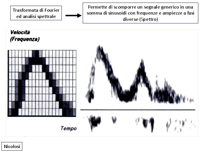 Trasformata di Fourier ed analisi spettrale Nicolosi Permette di scomporre un segnale generico in
