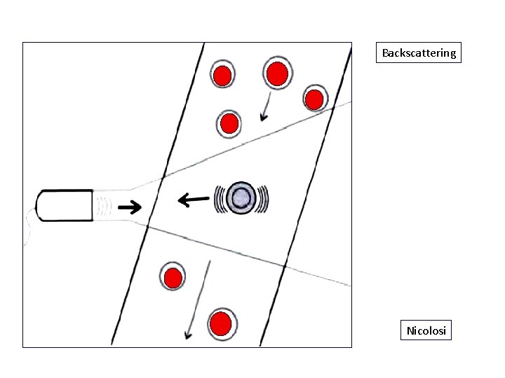 Backscattering Nicolosi 