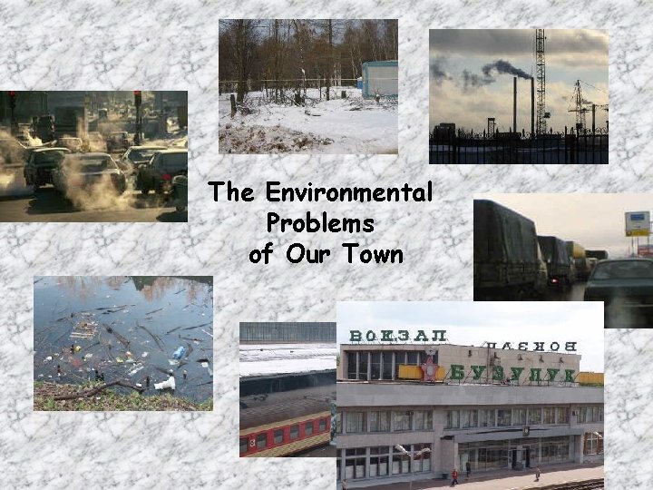 The Environmental Problems of Our Town 