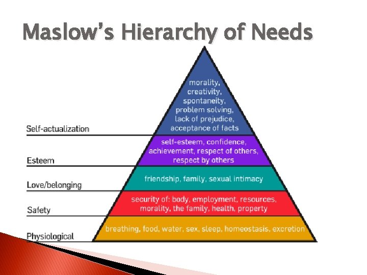 Maslow’s Hierarchy of Needs 