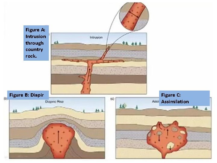 Figure A: Intrusion through country rock. Figure B: Diapir Figure C: Assimilation Figure A: Intrusion through country rock. Figure B: Diapir Figure C: Assimilation