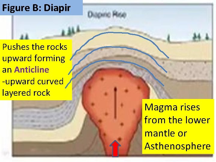 Figure B: Diapir Pushes the rocks upward forming an Anticline -upward curved layered rock Figure B: Diapir Pushes the rocks upward forming an Anticline -upward curved layered rock