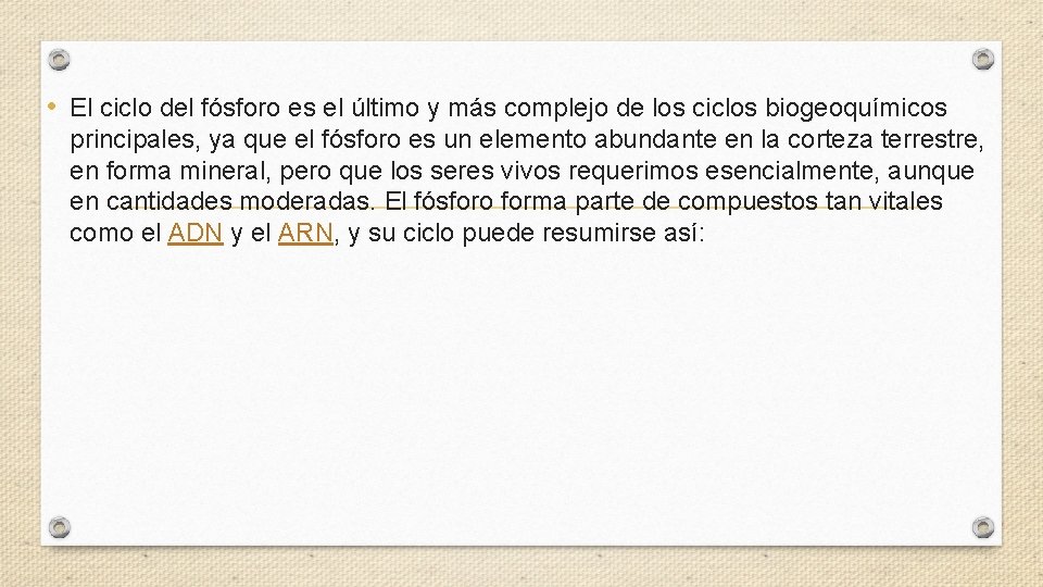  • El ciclo del fósforo es el último y más complejo de los