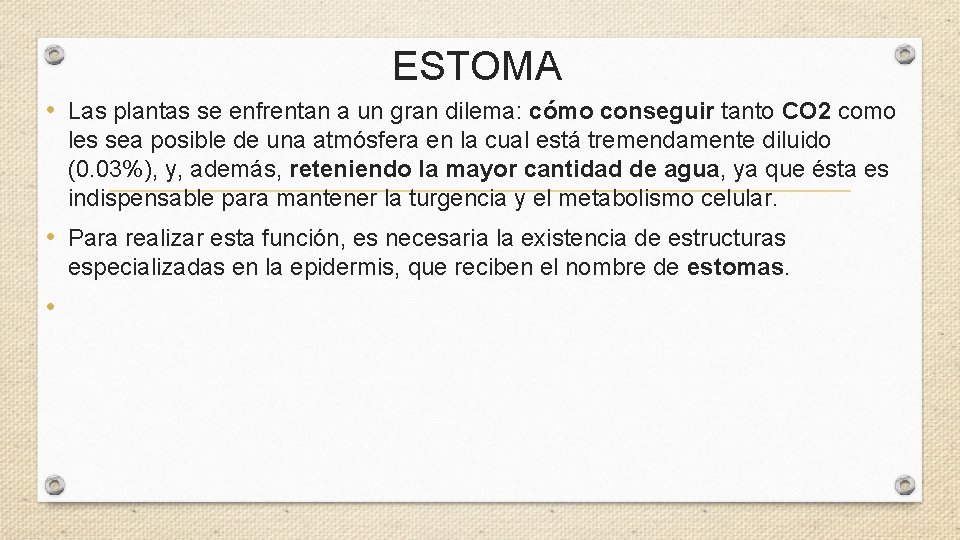 ESTOMA • Las plantas se enfrentan a un gran dilema: cómo conseguir tanto CO