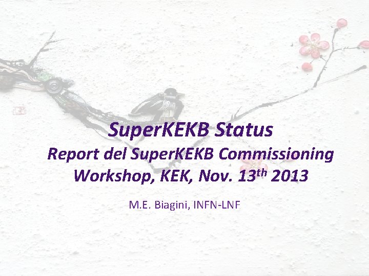 Super. KEKB Status Report del Super. KEKB Commissioning Workshop, KEK, Nov. 13 th 2013