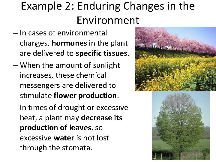 Example 2: Enduring Changes in the Environment – In cases of environmental changes, hormones