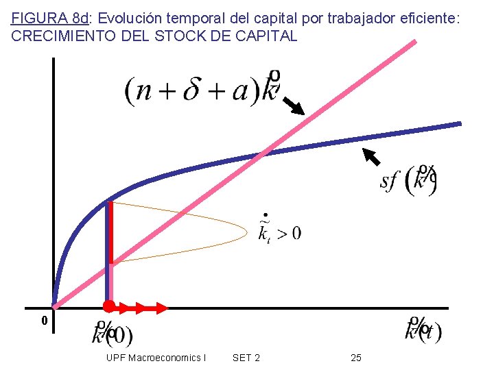 FIGURA 8 d: Evolución temporal del capital por trabajador eficiente: CRECIMIENTO DEL STOCK DE