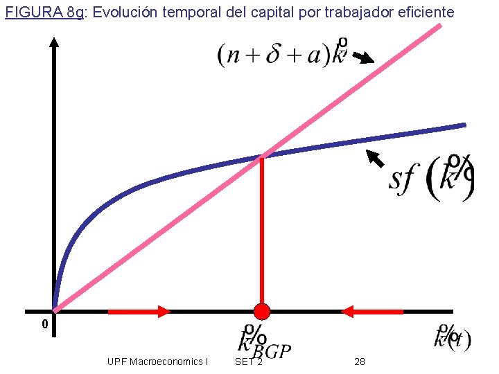 FIGURA 8 g: Evolución temporal del capital por trabajador eficiente 0 UPF Macroeconomics I