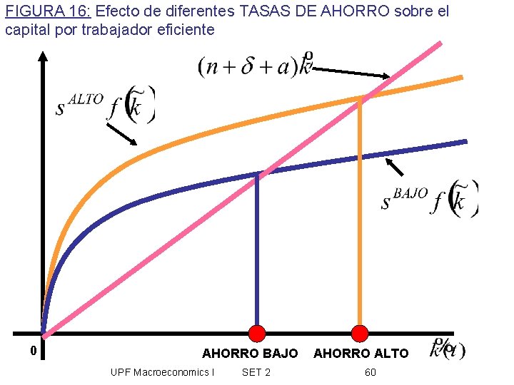 FIGURA 16: Efecto de diferentes TASAS DE AHORRO sobre el capital por trabajador eficiente