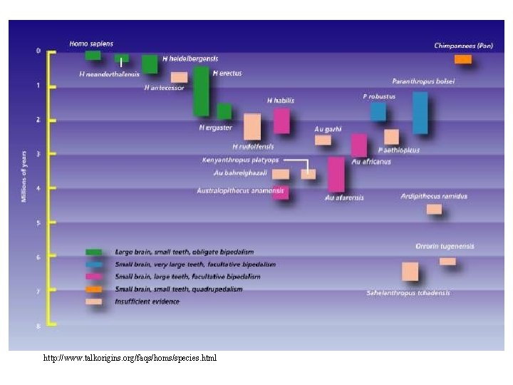 http: //www. talkorigins. org/faqs/homs/species. html http: //www. talkorigins. org/faqs/homs/species. html