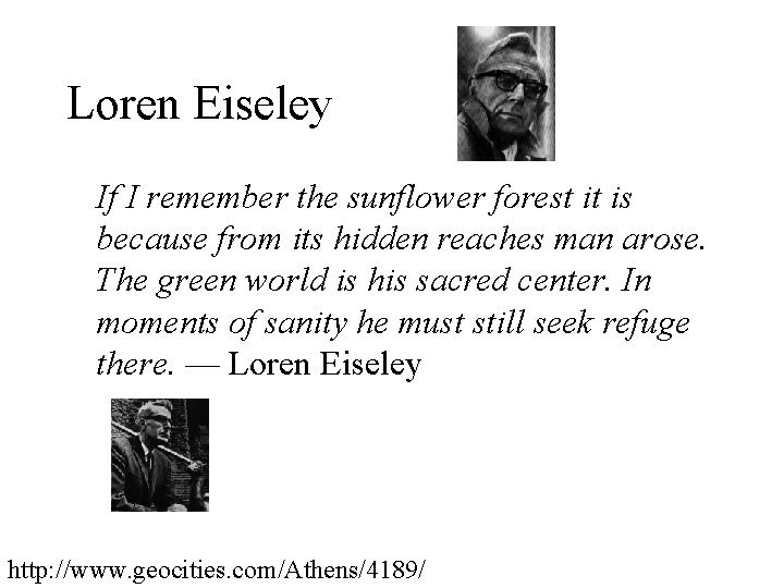 Loren Eiseley If I remember the sunflower forest it is because from its hidden Loren Eiseley If I remember the sunflower forest it is because from its hidden