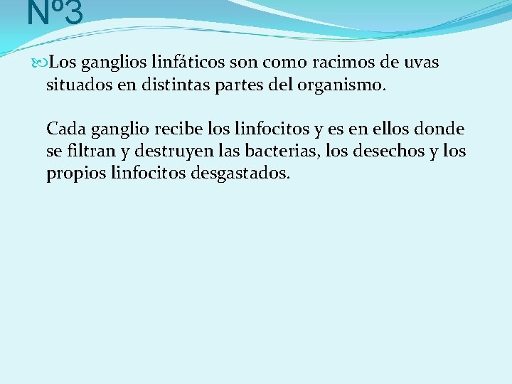 Nº 3 Los ganglios linfáticos son como racimos de uvas situados en distintas partes