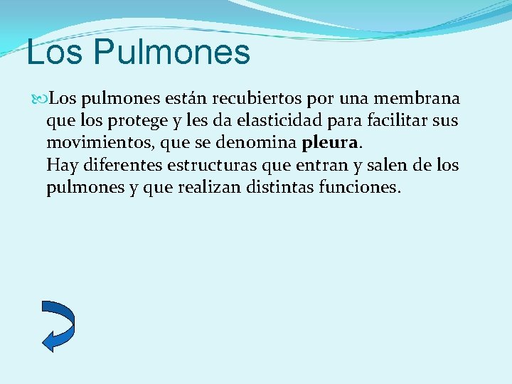 Los Pulmones Los pulmones están recubiertos por una membrana que los protege y les