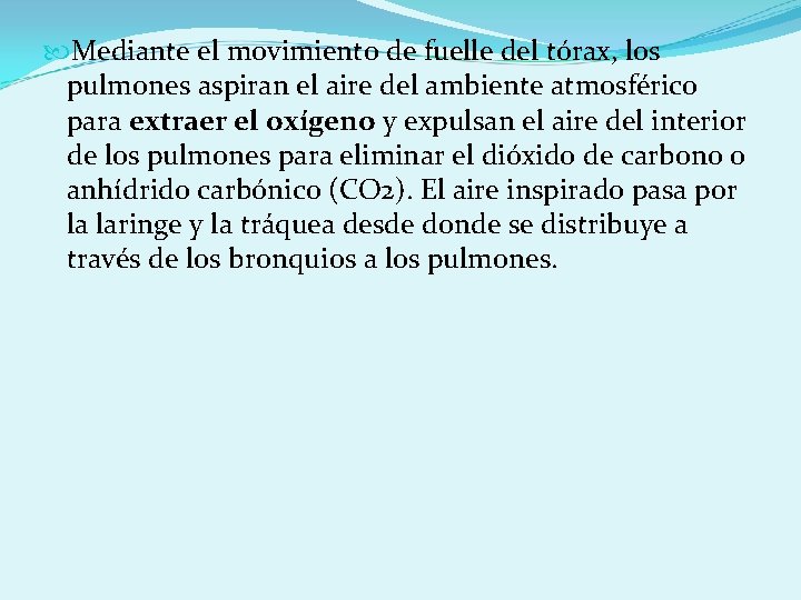  Mediante el movimiento de fuelle del tórax, los pulmones aspiran el aire del