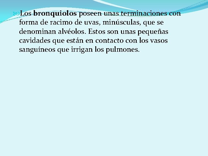  Los bronquiolos poseen unas terminaciones con forma de racimo de uvas, minúsculas, que