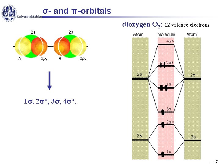 σ- and π-orbitals dioxygen O 2: 12 valence electrons 1 , 2 *, 3