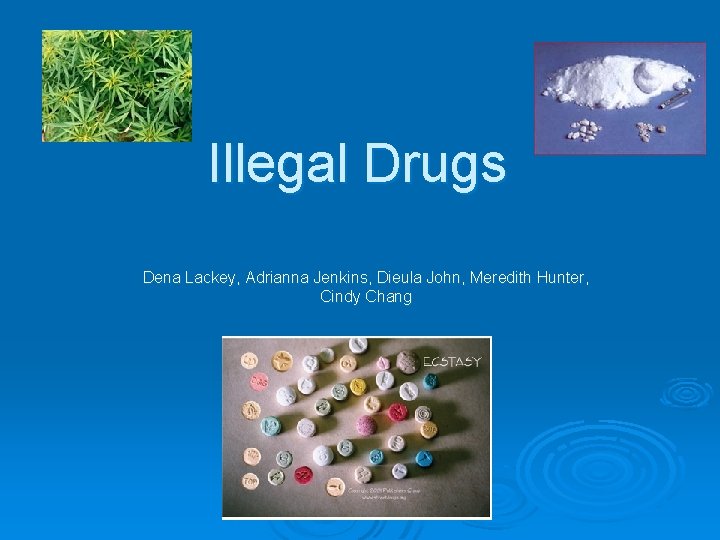 Illegal Drugs Dena Lackey, Adrianna Jenkins, Dieula John, Meredith Hunter, Cindy Chang 