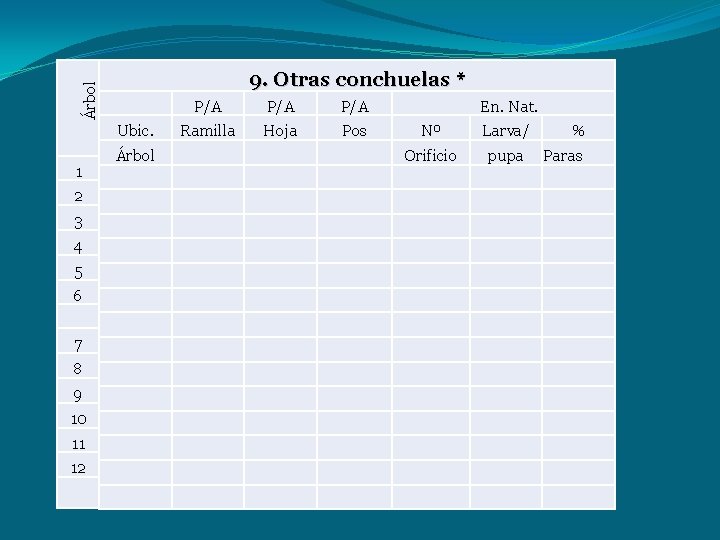 Árbol 9. Otras conchuelas * Ubic. 1 2 3 4 5 6 7 8