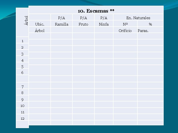 Árbol 10. Escamas ** Ubic. Árbol 1 2 3 4 5 6 7 8