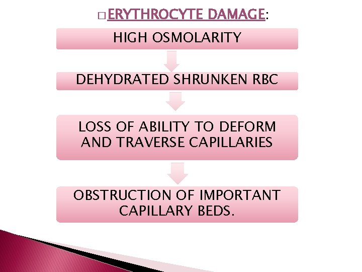 � ERYTHROCYTE DAMAGE: HIGH OSMOLARITY DEHYDRATED SHRUNKEN RBC LOSS OF ABILITY TO DEFORM AND � ERYTHROCYTE DAMAGE: HIGH OSMOLARITY DEHYDRATED SHRUNKEN RBC LOSS OF ABILITY TO DEFORM AND