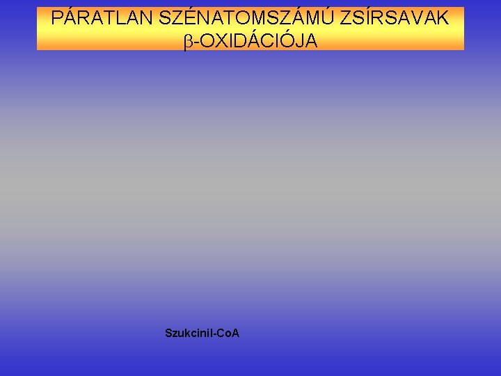 PÁRATLAN SZÉNATOMSZÁMÚ ZSÍRSAVAK -OXIDÁCIÓJA Szukcinil-Co. A 