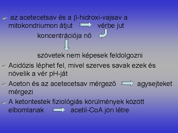 az acetecetsav és a -hidroxi-vajsav a mitokondriumon átjut vérbe jut koncentrációja nő szövetek nem