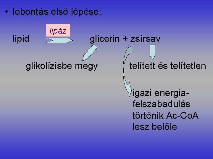  • lebontás első lépése: lipid lipáz glicerin + zsírsav glikolízisbe megy telített és