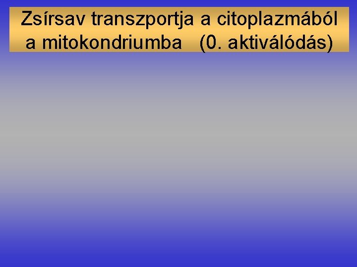 Zsírsav transzportja a citoplazmából a mitokondriumba (0. aktiválódás) 