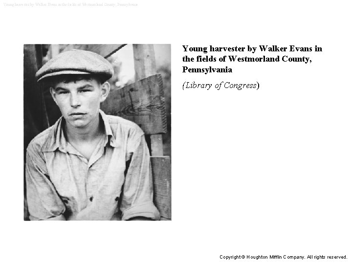 Young harvester by Walker Evans in the fields of Westmorland County, Pennsylvania (Library of