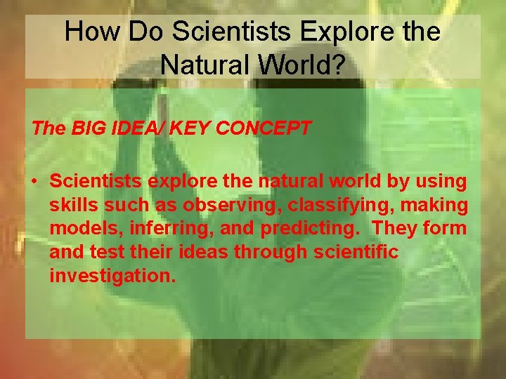 How Do Scientists Explore the Natural World? The BIG IDEA/ KEY CONCEPT • Scientists
