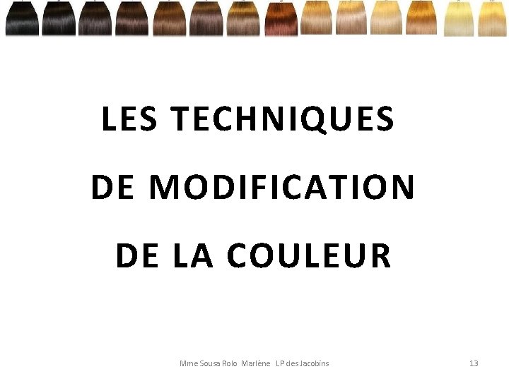 LES TECHNIQUES DE MODIFICATION DE LA COULEUR Mme Sousa Rolo Marlène LP des Jacobins
