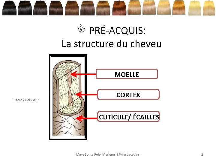  PRÉ-ACQUIS: La structure du cheveu MOELLE Photo Pivot Point CORTEX CUTICULE/ ÉCAILLES Mme