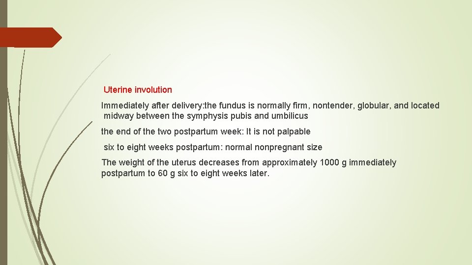 Uterine involution Immediately after delivery: the fundus is normally firm, nontender, globular, and located