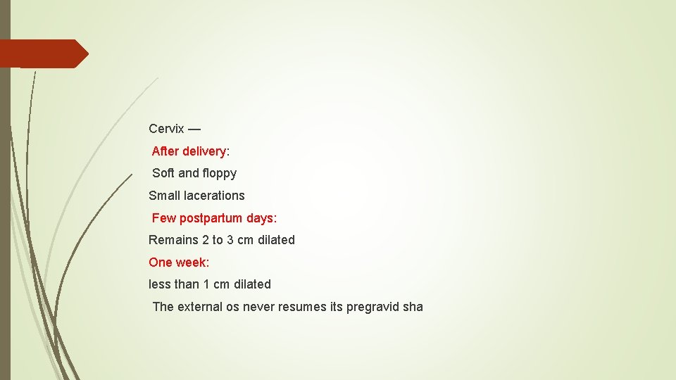 Cervix — After delivery: Soft and floppy Small lacerations Few postpartum days: Remains 2