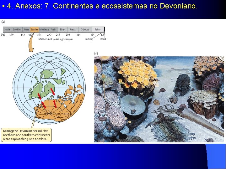  • 4. Anexos: 7. Continentes e ecossistemas no Devoniano. 