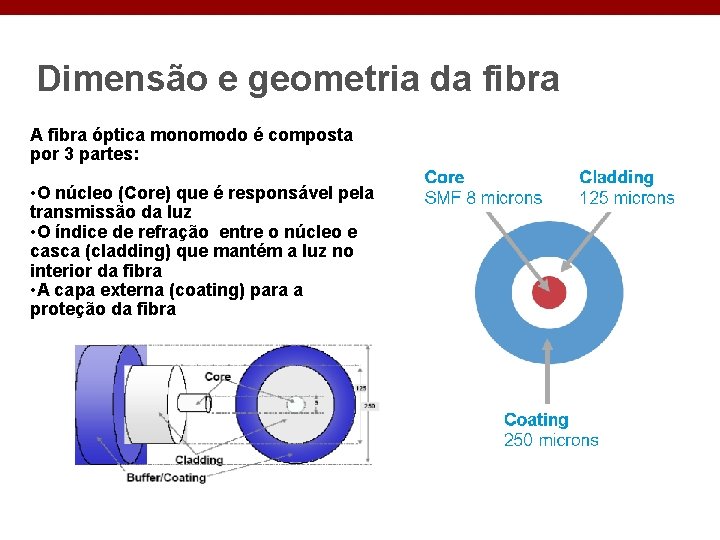 Dimensão e geometria da fibra A fibra óptica monomodo é composta por 3 partes: