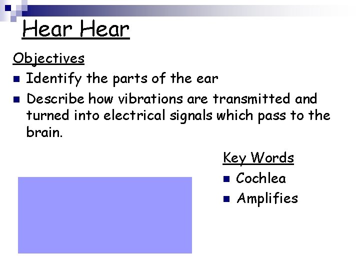 Hear Objectives n Identify the parts of the ear n Describe how vibrations are
